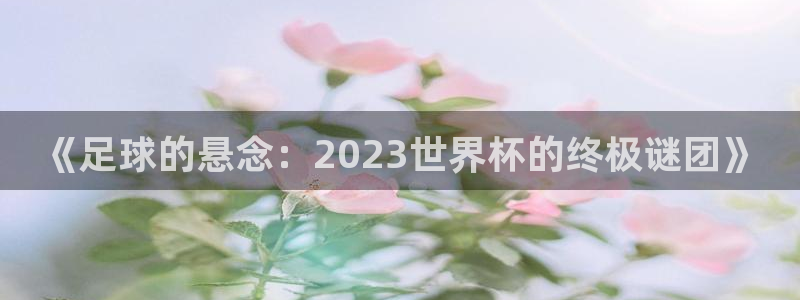 世界杯亚洲预选赛18强赛程:《足球的悬念:2023世界杯的终极谜团》