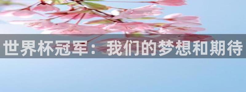 世界杯2026比赛时间表:世界杯冠军:我们的梦想和期待