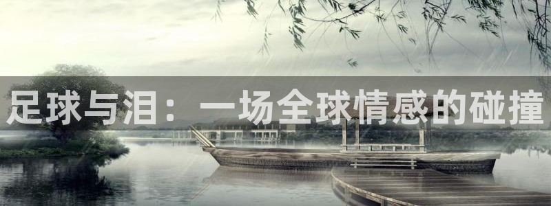 世界杯2026预选赛:足球与泪:一场全球情感的碰撞