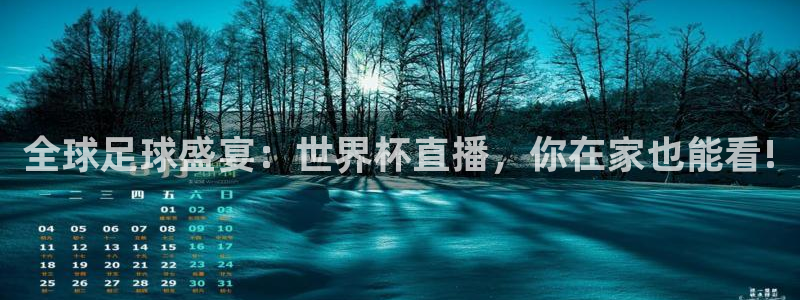 2026世界杯欧洲预选赛赛程表:全球足球盛宴:世界杯直播,你在家也能看!