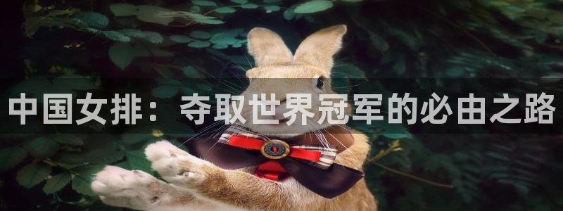 世界杯足球赛2026赛程时间:中国女排:夺取世界冠军的必由之路