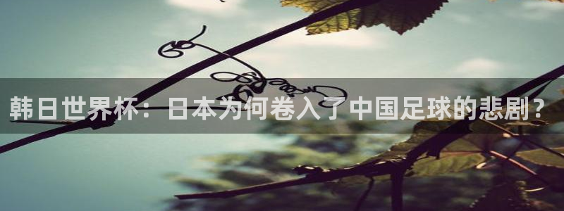 世界杯直播在线观看入口:韩日世界杯:日本为何卷入了中国足球的悲剧?