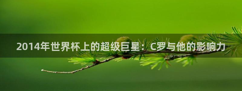 足球世预赛:2014年世界杯上的超级巨星:C罗与他的影响力