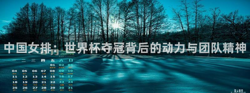 世界杯赛程时间表:中国女排:世界杯夺冠背后的动力与团队精神