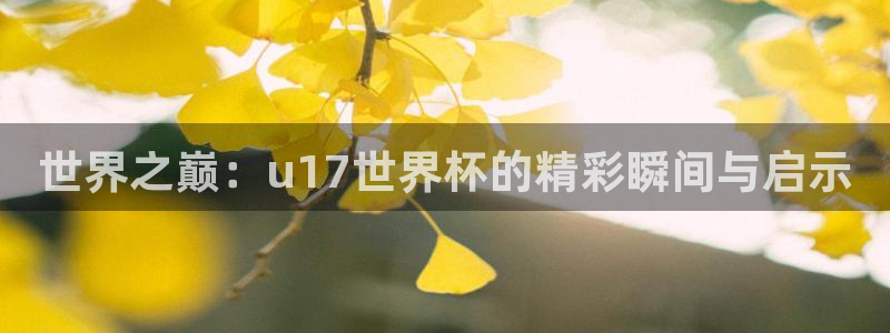 世界杯直播时间:世界之巅:u17世界杯的精彩瞬间与启示