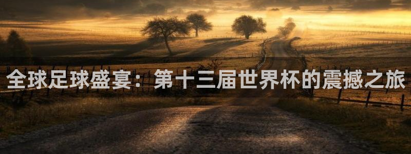 世界杯直播网:全球足球盛宴:第十三届世界杯的震撼之旅